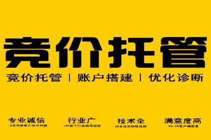SEM推广代运营的实战经验分享与效果展示